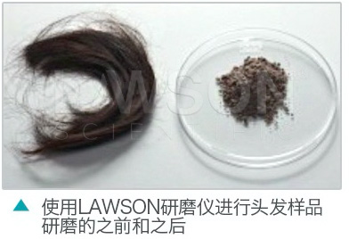 頭發研磨效果.png